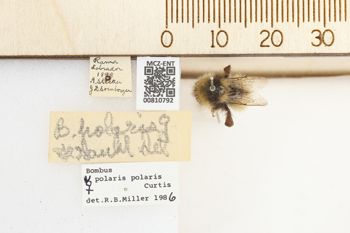 Media type: image;   Entomology 810792 Aspect: labels
